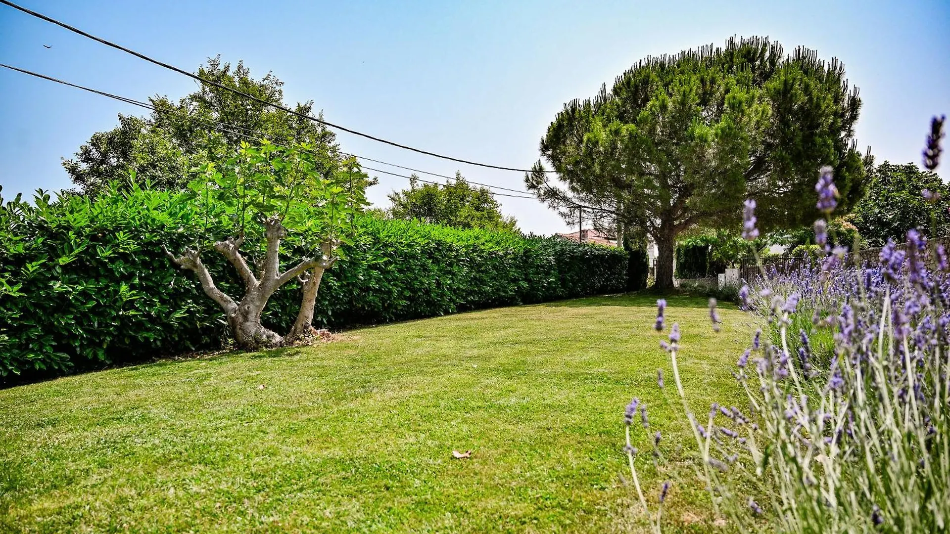 Oda ve Kahvaltı Villa Mirela Vrbnik